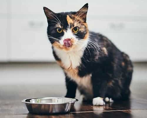 Advanced Diagnostics